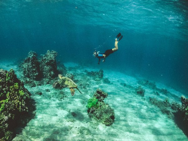 Où trouver les plus belles plages pour du snorkeling aux Philippines?